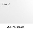  Pass 