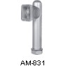 AM-831