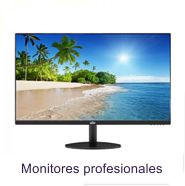 Monitores profesionales