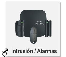 Sintemas Intrusin